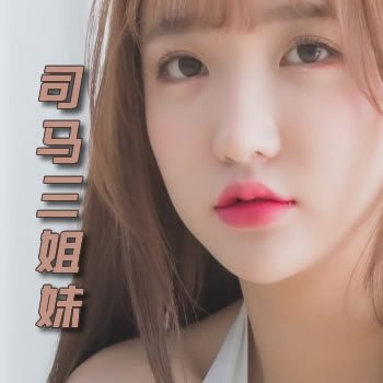 ˾��������