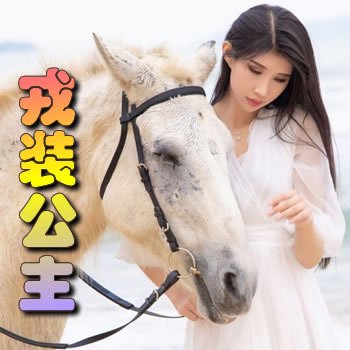 ��װ����