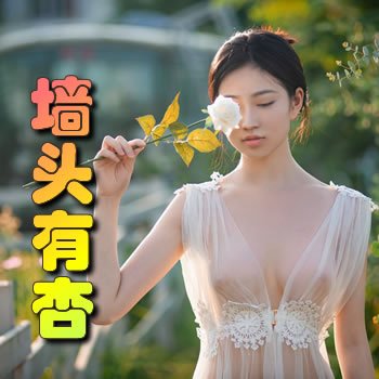 ǽͷ���ӣ�����֮�ţ�